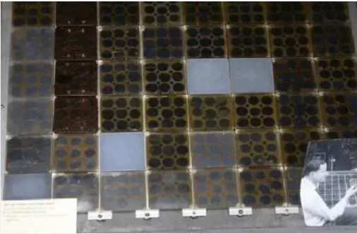 湖北鑫和綠色能源有限公司 湖北鑫和綠色能源有限公司