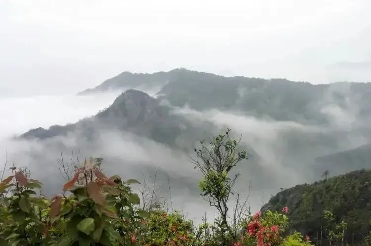 湖北鑫和綠色能源有限公司 湖北鑫和綠色能源有限公司