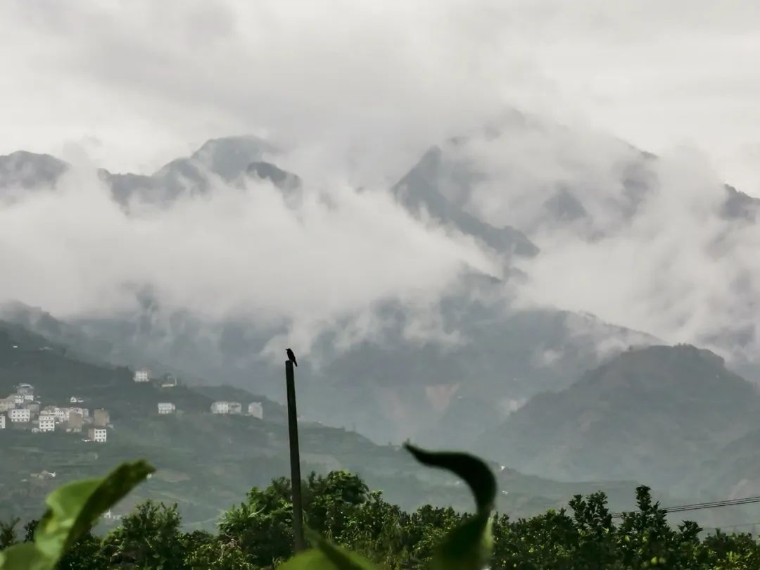 湖北鑫和綠色能源有限公司 湖北鑫和綠色能源有限公司