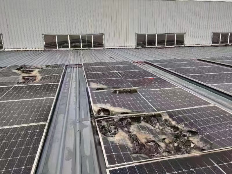 重磅提示 ┃ 選裝光伏，請果斷拒絕低價誘惑！切記！！莫要入坑再被套路！！！